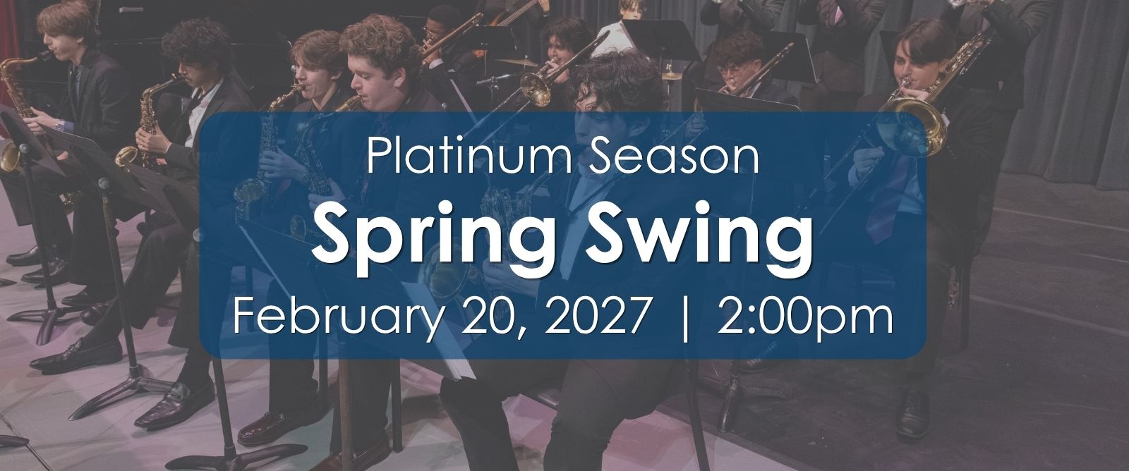 Spring Swing