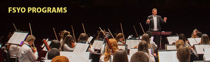 fsyo programs 2