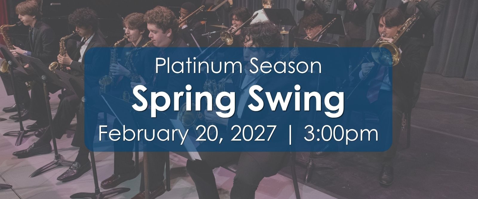 Spring Swing