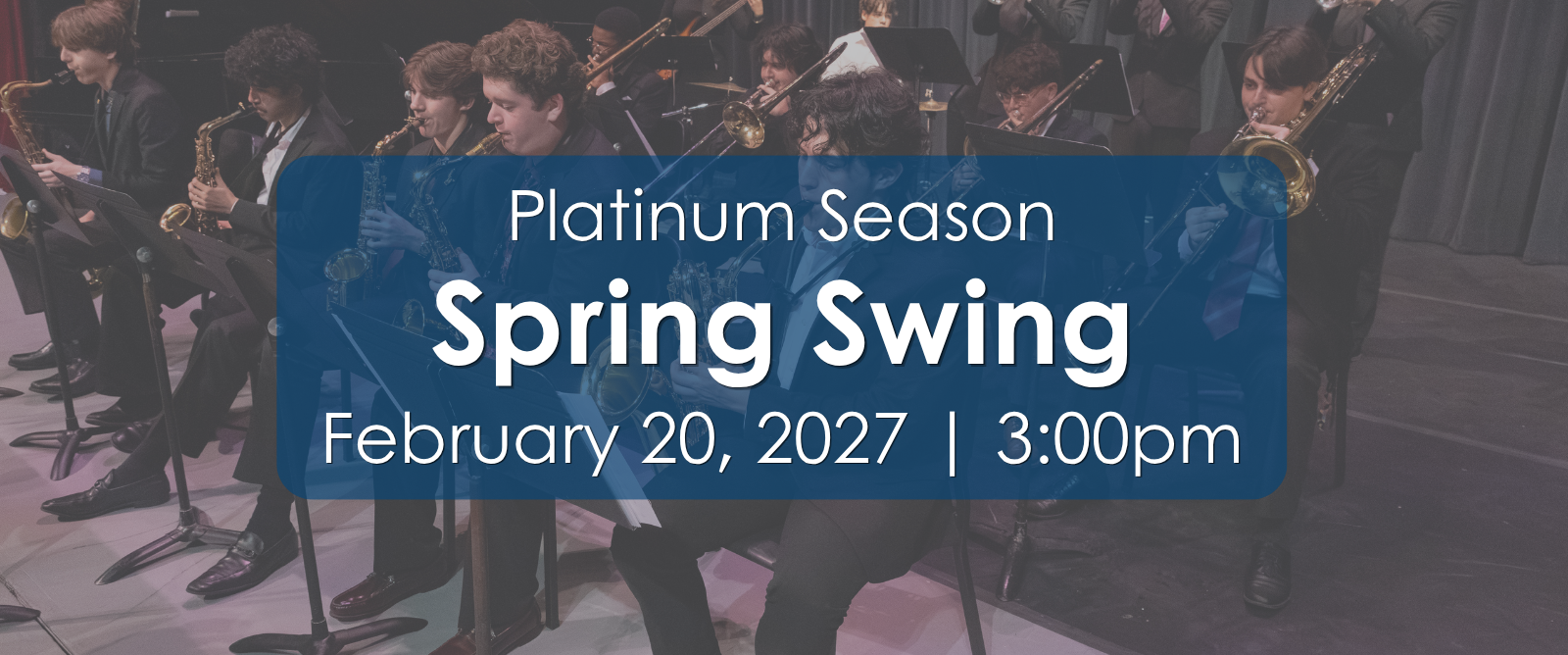 Spring Swing