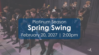 Spring Swing