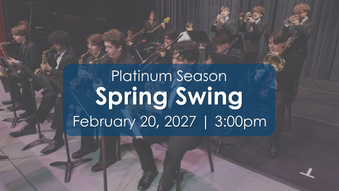 Spring Swing