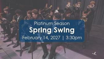 Spring Swing